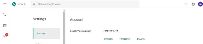 Google Voice settings