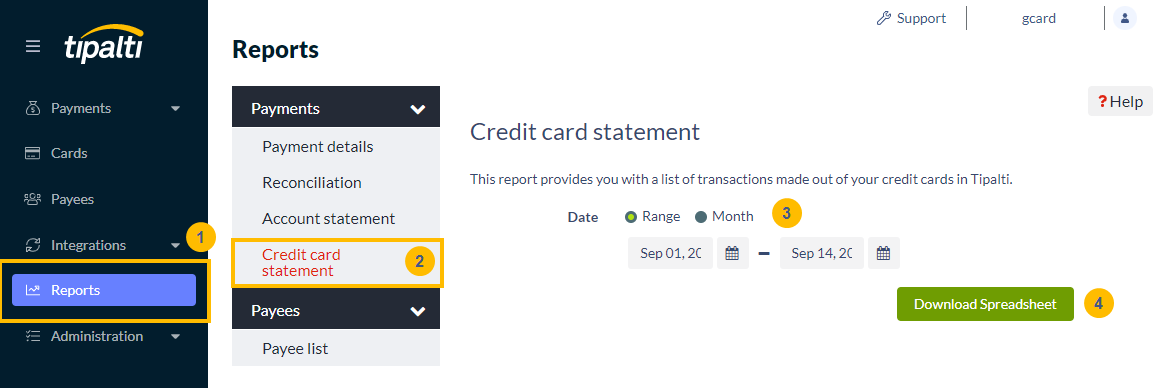 Credit card statement report